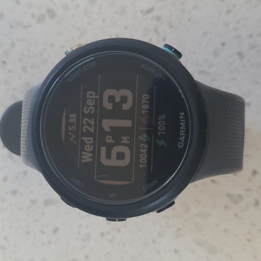 Garmin Swim 2